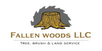  Fallen Woods