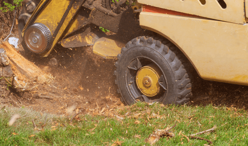 Stump Grinding
